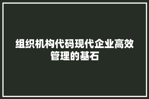 组织机构代码现代企业高效管理的基石