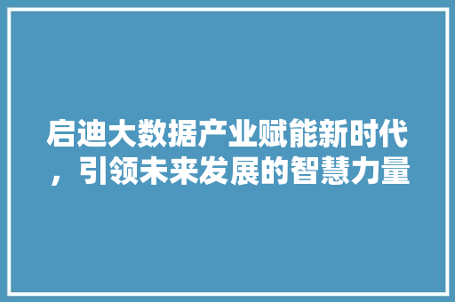 启迪大数据产业赋能新时代，引领未来发展的智慧力量  第1张