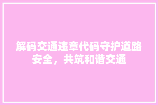 解码交通违章代码守护道路安全，共筑和谐交通