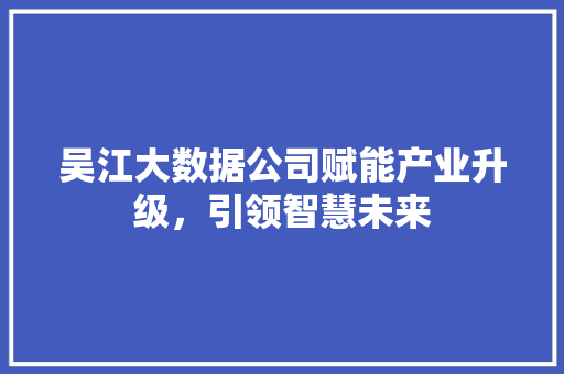 吴江大数据公司赋能产业升级，引领智慧未来  第1张