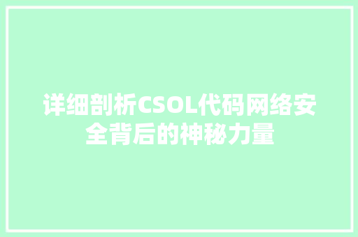 详细剖析CSOL代码网络安全背后的神秘力量