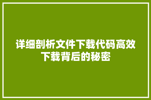 详细剖析文件下载代码高效下载背后的秘密