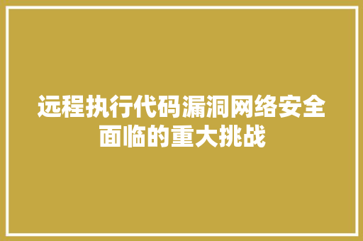 远程执行代码漏洞网络安全面临的重大挑战