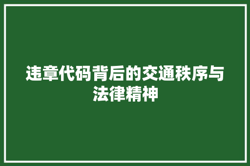 违章代码背后的交通秩序与法律精神  第1张