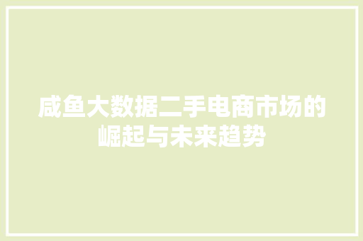 咸鱼大数据二手电商市场的崛起与未来趋势