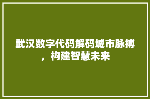 武汉数字代码解码城市脉搏，构建智慧未来