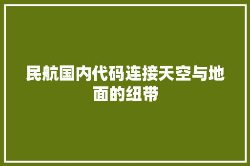 民航国内代码连接天空与地面的纽带