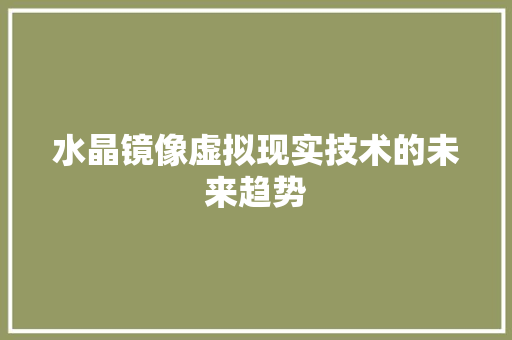 水晶镜像虚拟现实技术的未来趋势