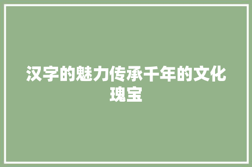 汉字的魅力传承千年的文化瑰宝