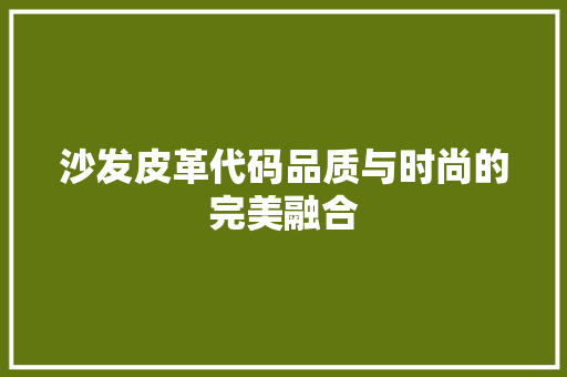 沙发皮革代码品质与时尚的完美融合