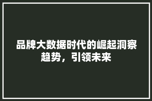 品牌大数据时代的崛起洞察趋势，引领未来  第1张