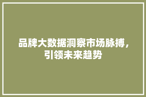 品牌大数据洞察市场脉搏，引领未来趋势  第1张