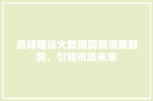品牌建设大数据洞察消费趋势，引领市场未来  第1张