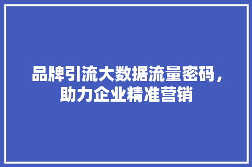 品牌引流大数据流量密码，助力企业精准营销  第1张