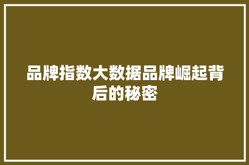 品牌指数大数据品牌崛起背后的秘密  第1张