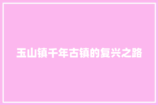 玉山镇千年古镇的复兴之路