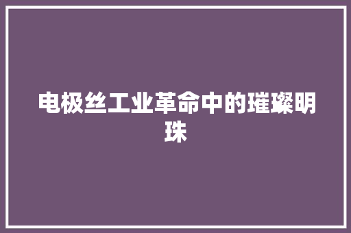 电极丝工业革命中的璀璨明珠