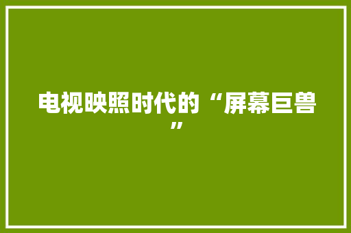 电视映照时代的“屏幕巨兽”  第1张