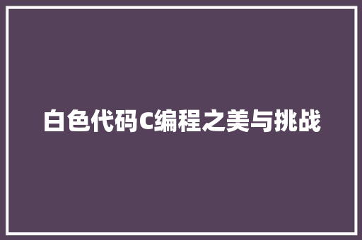 白色代码C编程之美与挑战
