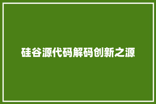 硅谷源代码解码创新之源