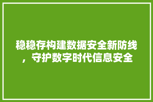 稳稳存构建数据安全新防线，守护数字时代信息安全