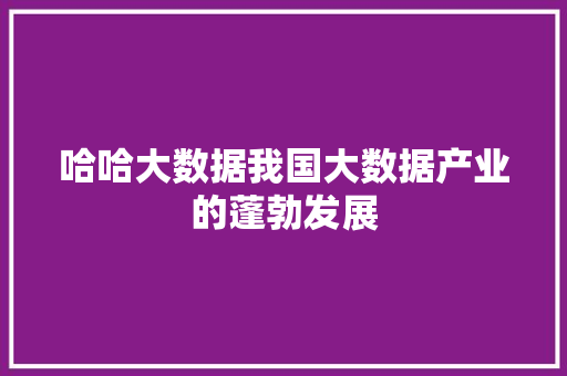 哈哈大数据我国大数据产业的蓬勃发展