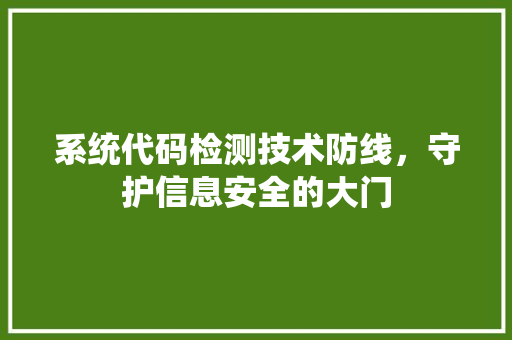 系统代码检测技术防线，守护信息安全的大门