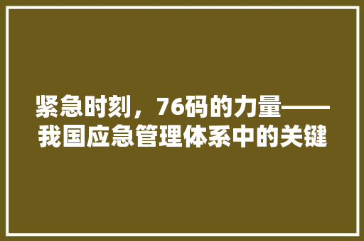 紧急时刻，76码的力量——我国应急管理体系中的关键一环