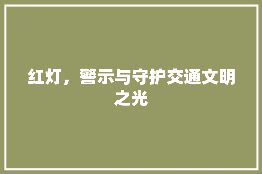 红灯，警示与守护交通文明之光