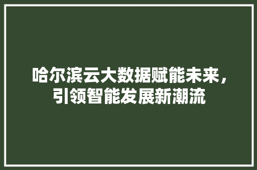 哈尔滨云大数据赋能未来，引领智能发展新潮流