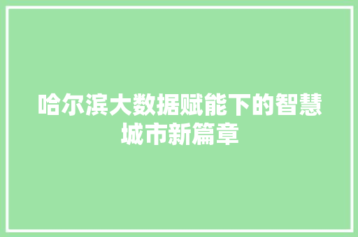 哈尔滨大数据赋能下的智慧城市新篇章