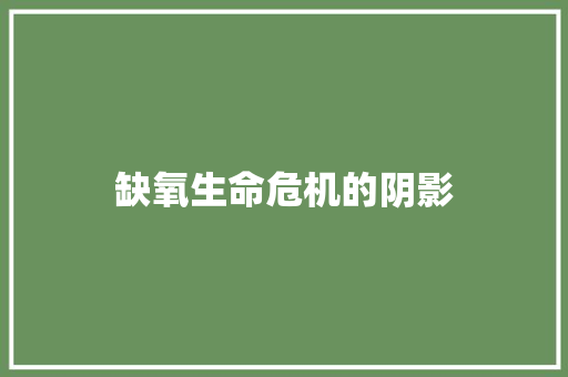 缺氧生命危机的阴影  第1张
