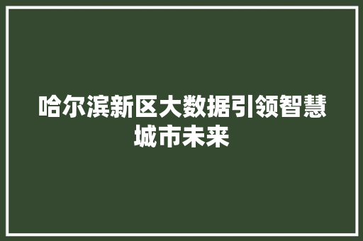 哈尔滨新区大数据引领智慧城市未来
