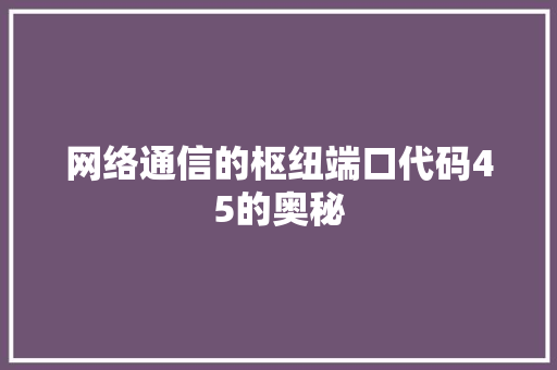 网络通信的枢纽端口代码45的奥秘  第1张