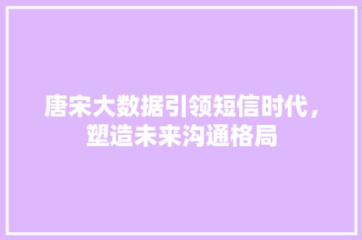 唐宋大数据引领短信时代，塑造未来沟通格局