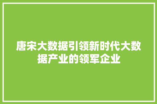 唐宋大数据引领新时代大数据产业的领军企业