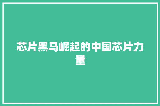 芯片黑马崛起的中国芯片力量