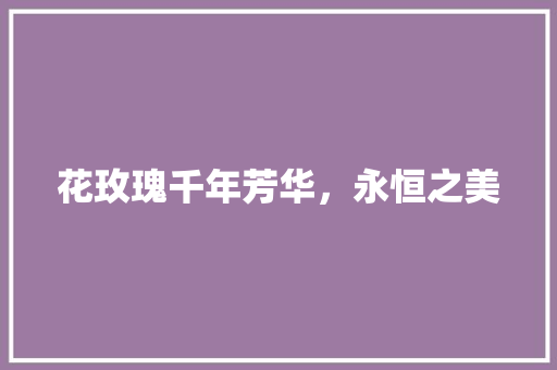 花玫瑰千年芳华，永恒之美
