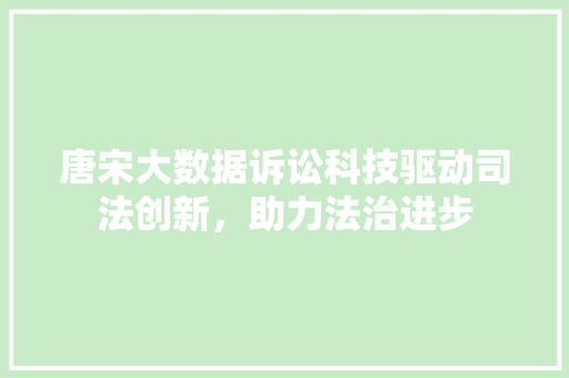 唐宋大数据诉讼科技驱动司法创新，助力法治进步