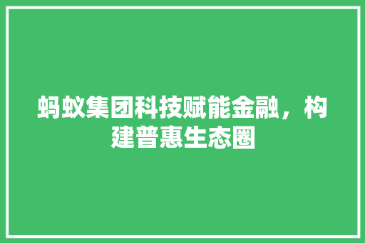 蚂蚁集团科技赋能金融，构建普惠生态圈