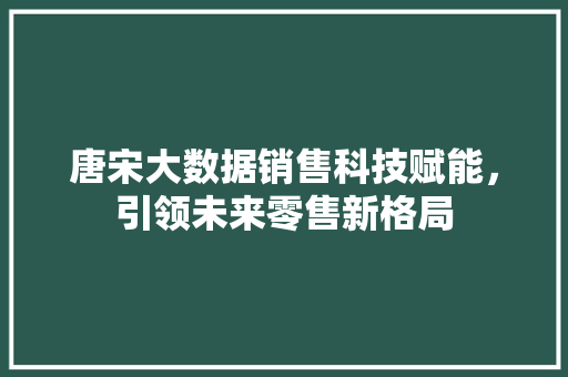 唐宋大数据销售科技赋能，引领未来零售新格局  第1张