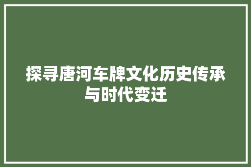 探寻唐河车牌文化历史传承与时代变迁