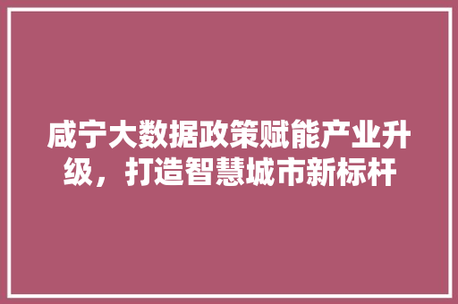 咸宁大数据政策赋能产业升级，打造智慧城市新标杆