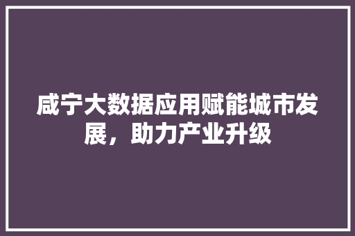 咸宁大数据应用赋能城市发展，助力产业升级