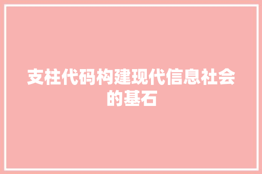 支柱代码构建现代信息社会的基石