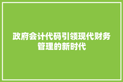 政府会计代码引领现代财务管理的新时代