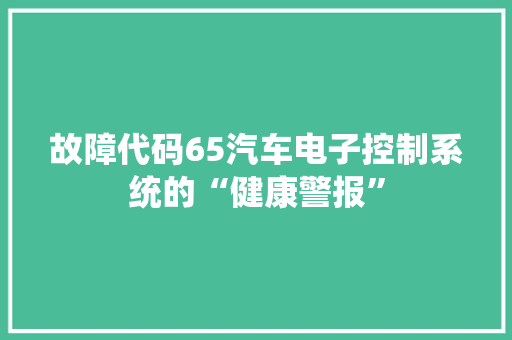 故障代码65汽车电子控制系统的“健康警报”