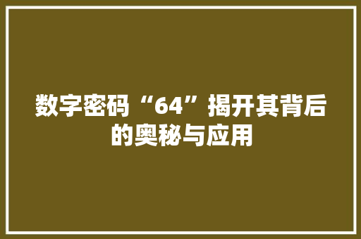 数字密码“64”揭开其背后的奥秘与应用
