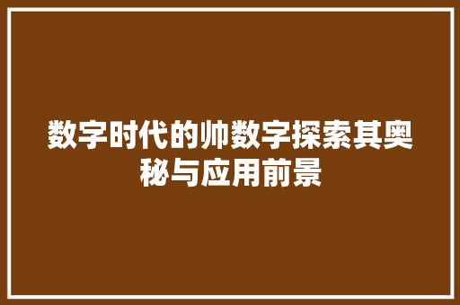 数字时代的帅数字探索其奥秘与应用前景