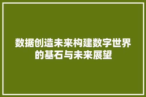 数据创造未来构建数字世界的基石与未来展望  第1张